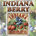 Indiana Berry