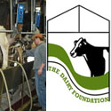 Iowa Dairy Foundation