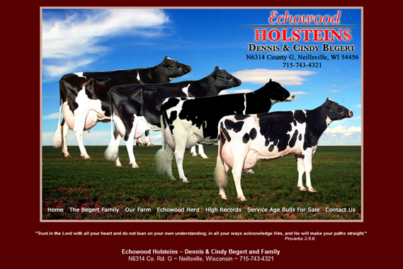 Echowood Holsteins