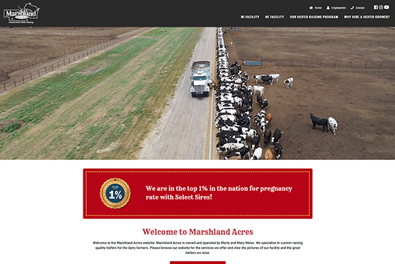 Marshland Acres