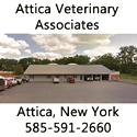 Attica Veterinary Service