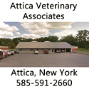 Attica Veterinary Service