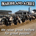 Marshland Acres