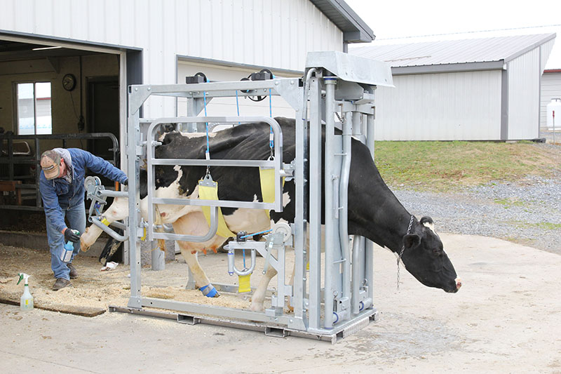 Manual Hoof Care Chutes