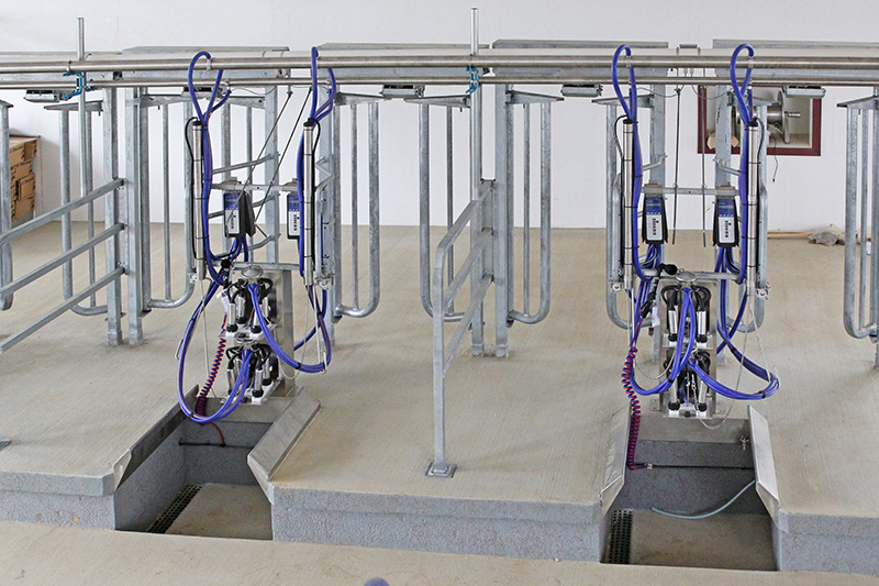 Step-up Milking Parlors