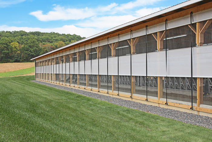 Curtain Systems