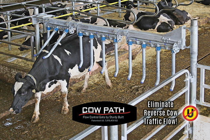 Robotic Milking