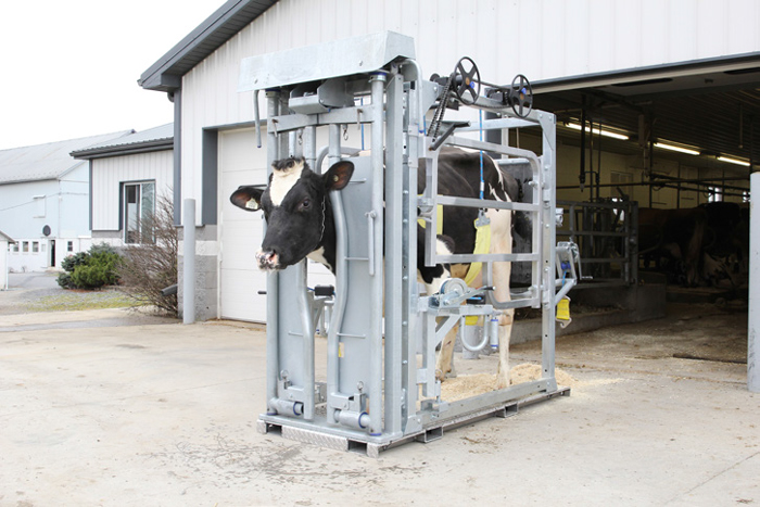 Vet chutes and Head Gates