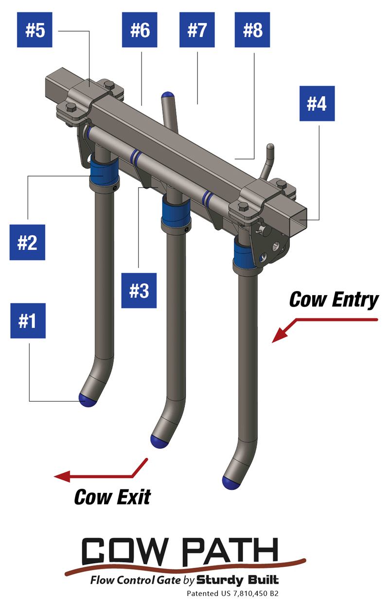 Cow Path graphic